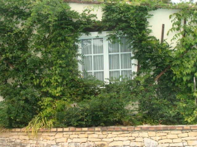 Le Guinguetton Chambre d'hôtes Prigonrieux Exterior foto