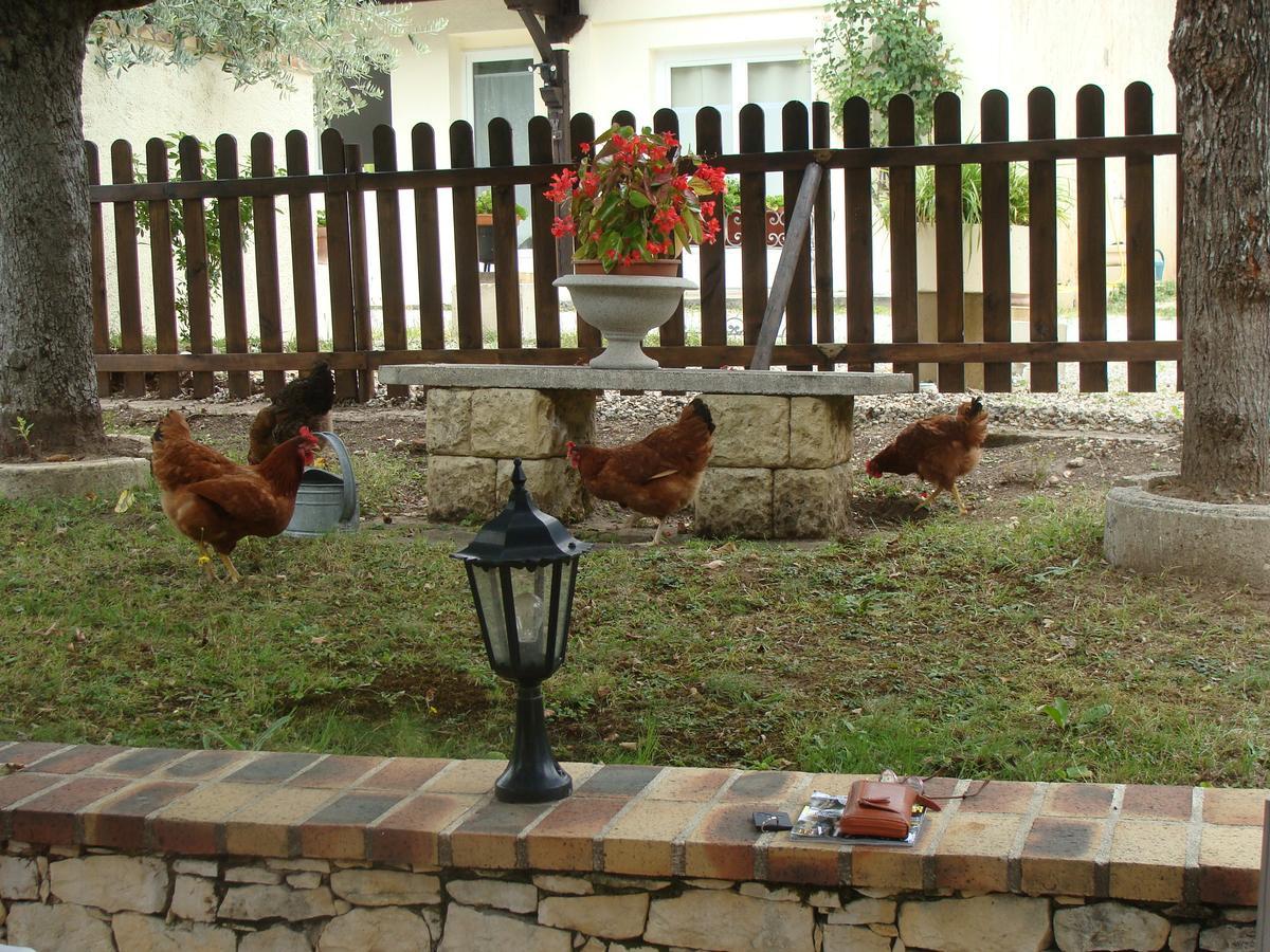 Le Guinguetton Chambre d'hôtes Prigonrieux Exterior foto